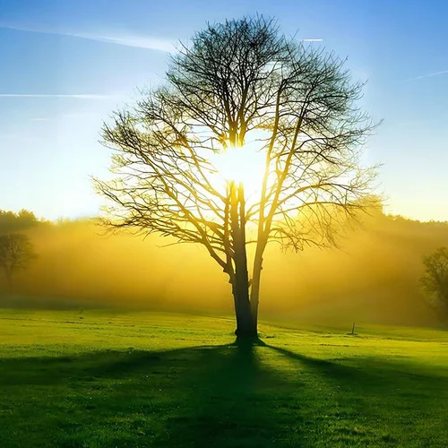 中醫(yī)養(yǎng)生音樂療法·補(bǔ)腎曲 滋養(yǎng)腎經(jīng)-養(yǎng)生五音療愈音律