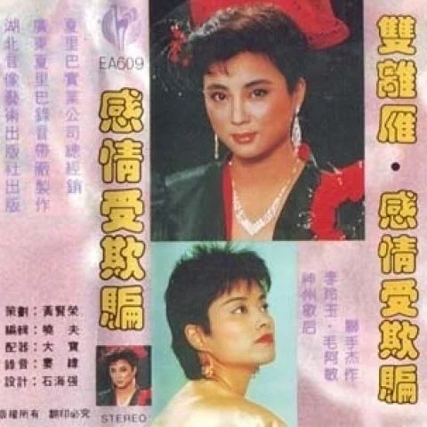 滾滾紅塵 (Live)-毛阿敏