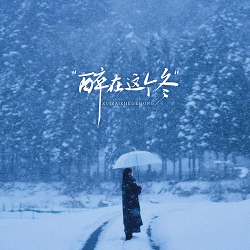 醉在这个冬 (节奏版)-Top兄弟