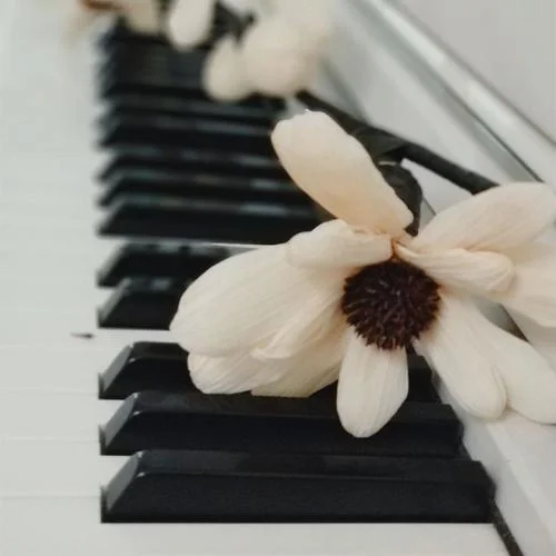 風(fēng)語(yǔ)月-N.K. 楊凱