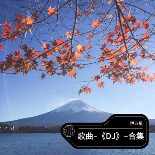 等你歸來DJ 版-伊五星