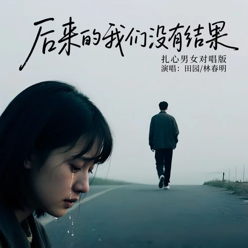 后来的我们没有结果(扎心男女对唱DJ魅音版)-田园&林春明