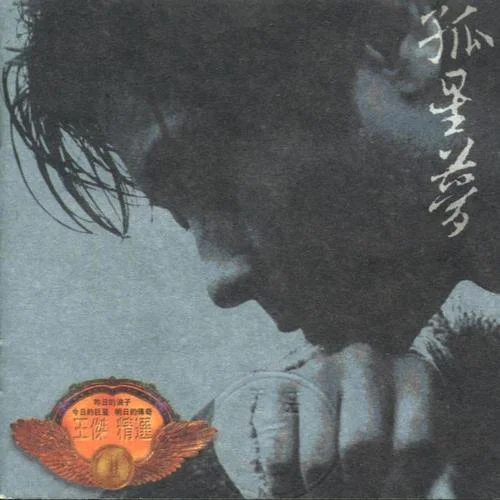 忘了你，忘了我-王杰