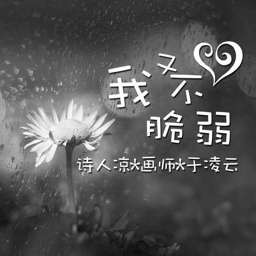 夢里的江湖-詩人涼&Mc畫師&于凌云