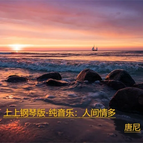 人間情多 (翻奏: 藍(lán)瀾)-唐尼