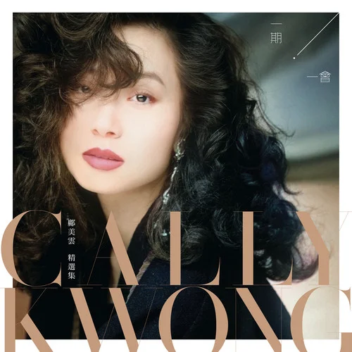 袛有情永在-張學(xué)友&鄺美云