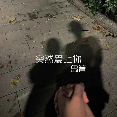 突然愛上你(我就在此刻突然愛上你)-島管