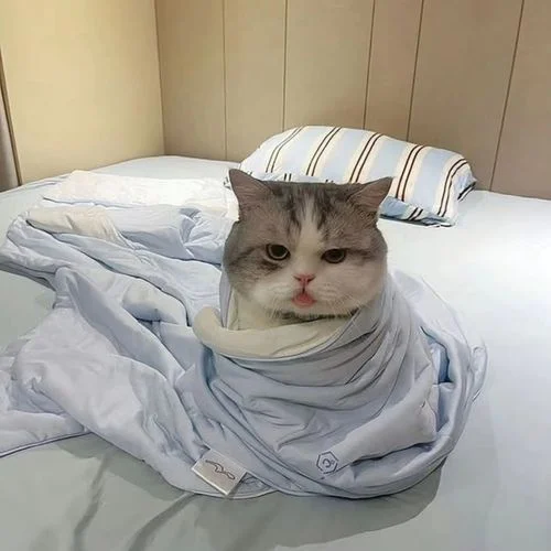 出現(xiàn)又離開 (風(fēng)笛版)-林凡