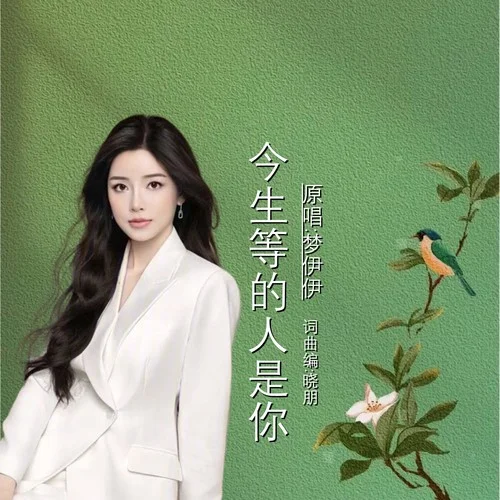 今生等的人是你DJ-曉朋&夢(mèng)伊伊