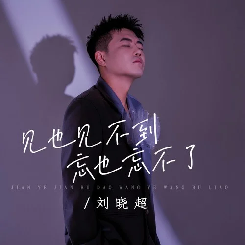 见也见不到忘也忘不了-刘晓超