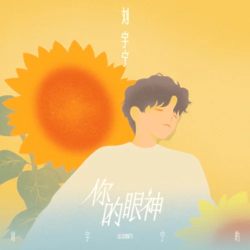 你的眼神-劉宇寧