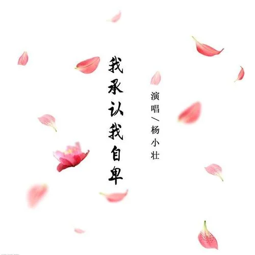 我承認(rèn)我自卑(DJ版)-楊小壯