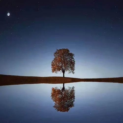 胡同大爺-愜意北京味兒-原調(diào)音樂