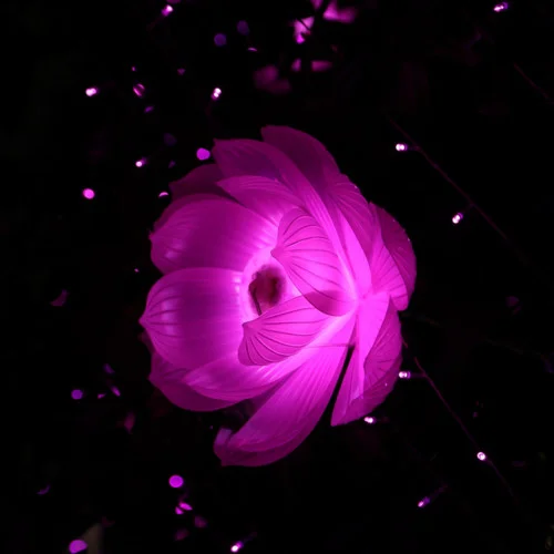 关键词-潮音哥&DJ YiXiu&4864&一人众天