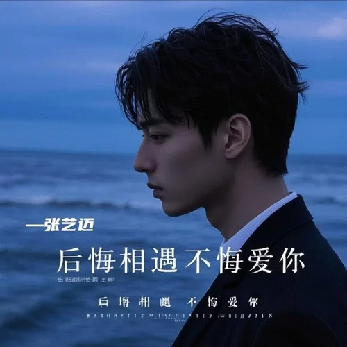 后悔相遇不悔爱你-张艺迈