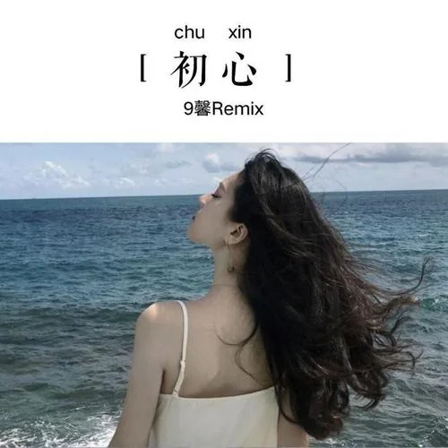 車載重低音-9馨