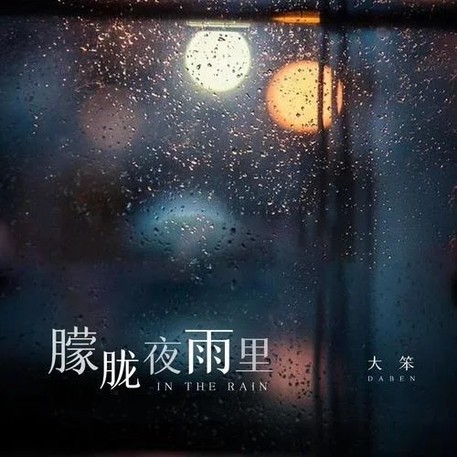 朦朧夜雨里-大笨