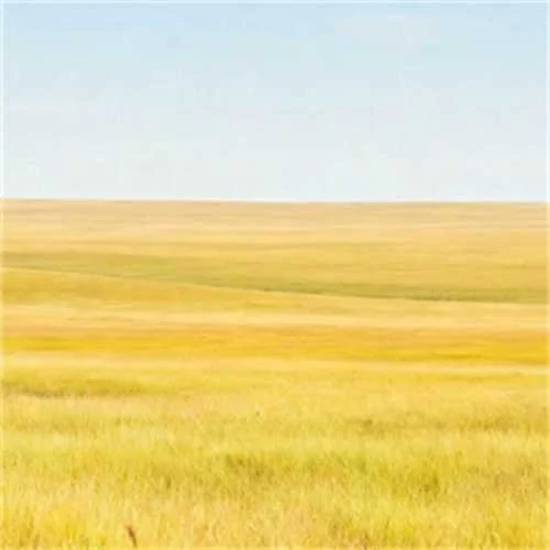 最强之人是对面的自己-糖晓四