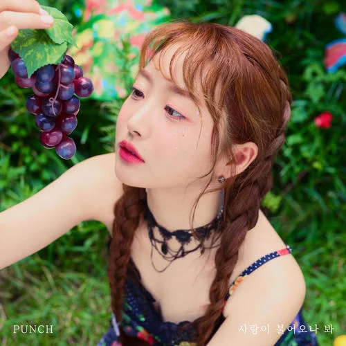 ??? ???? ? (The Love)-Punch[韓]