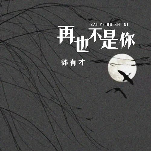 再也不是你-郭有才