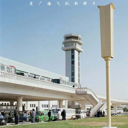 你都忘了你有多美-新裤子