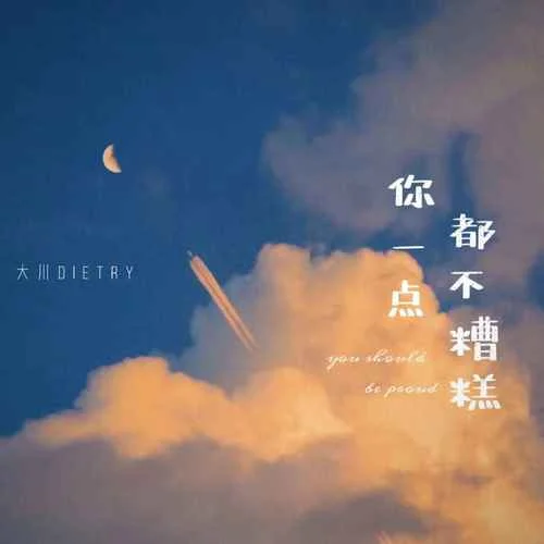 你一點(diǎn)都不糟糕-大川Dietry