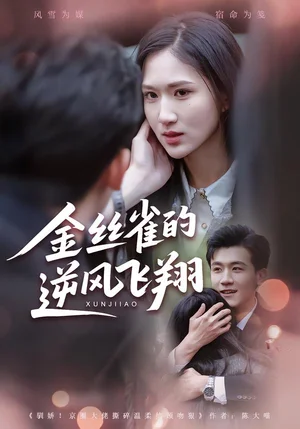 金絲雀的逆風(fēng)飛翔（80集）廖帕姿&曹潤輝 - 短劇資源下載