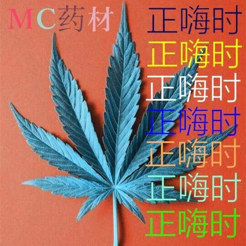 佳人輕撫桃花扇-MC藥材