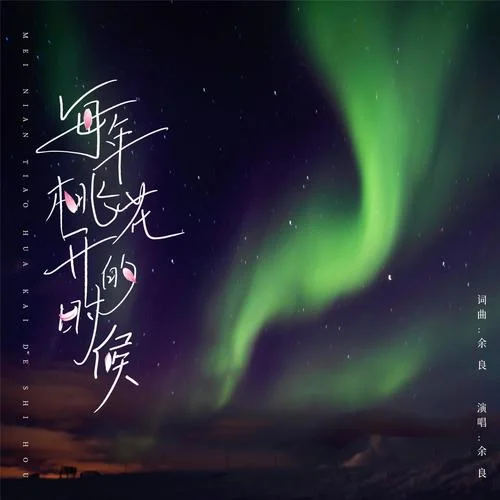 每年桃花開的時(shí)候（DJ版）-余良