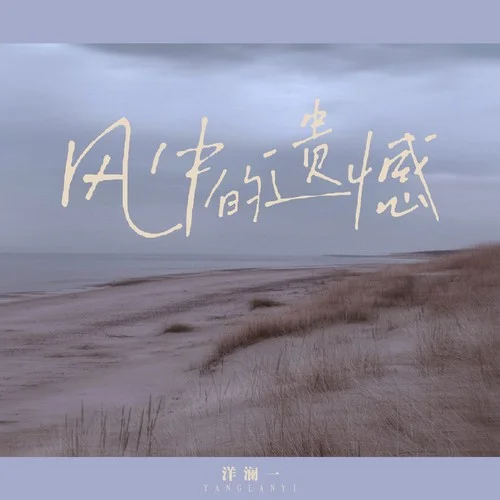 風(fēng)中的遺憾-洋瀾一
