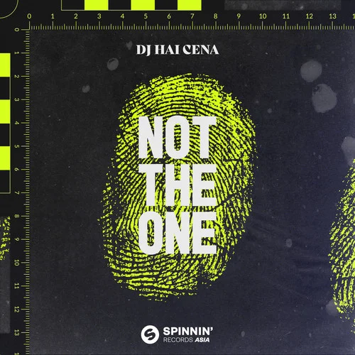 Not The One-DJ HAI CENA