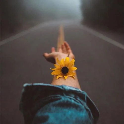 這世界有那么多人 (cover: 莫文蔚)-多多愛唱