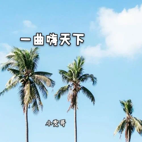 帶感電搖(DJ版)-小雯哥