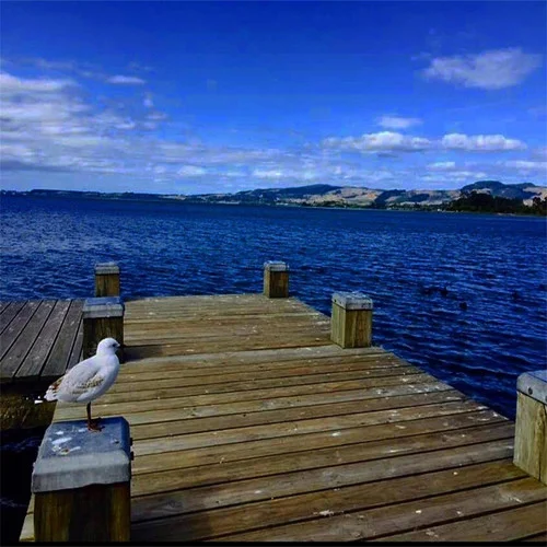 The Cure (DJ阿智版)-Andree Son