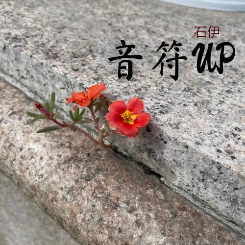 趙露思Black Veil Bride 黑頭紗下破繭宣言-石伊