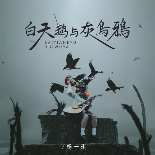白天鵝與灰烏鴉-楊一琪