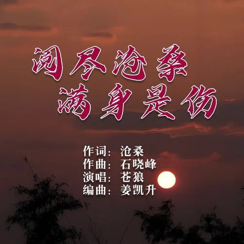 閱盡滄桑滿身是傷-蒼狼