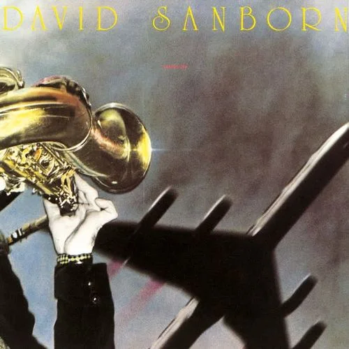 It Took a Long Time-David Sanborn