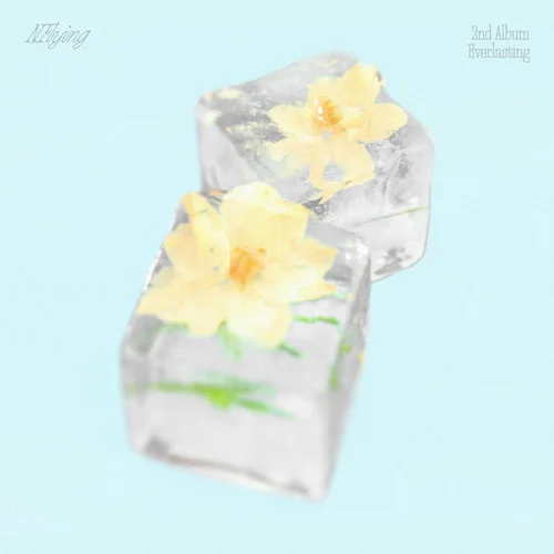 Love You Like That-N.Flying