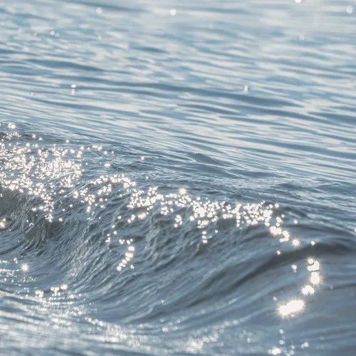 Blue mood(為所欲為)-Knorr