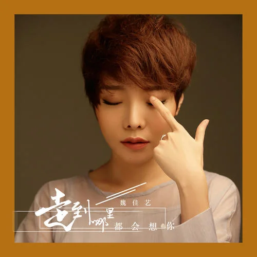 走到哪里都會(huì)想你(DJ版)-魏佳藝