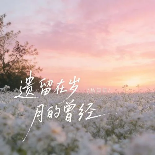 遺留在歲月的曾經(jīng)-呂口口