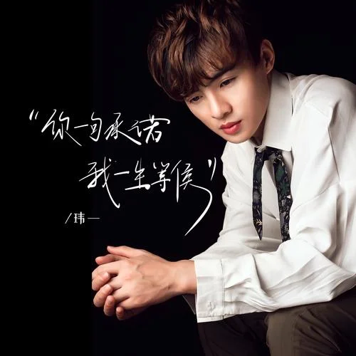 你一句承諾我一生等候-瑋一