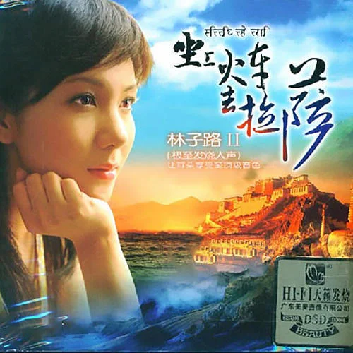 不要在寂寞的時候說愛我-林子路