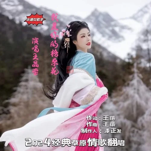 你是我的格?；?伴奏)-王晶瑩