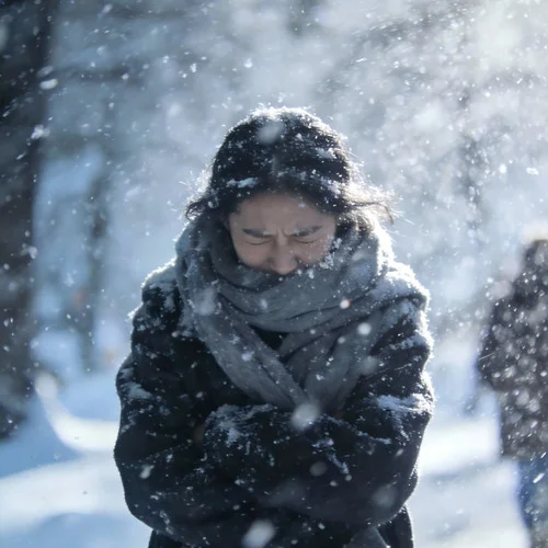 电台情歌(R&B)-梦镜里的算法