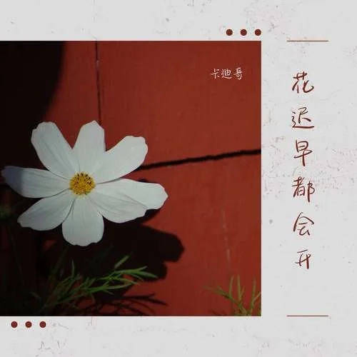 花遲早都會開-卡迪哥