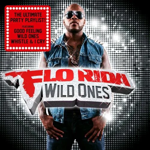Wild Ones(feat. Sia)-Flo Rida&Sia
