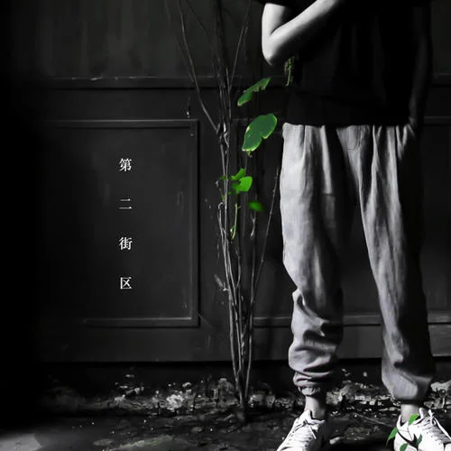 巷子和樹-葛東琪