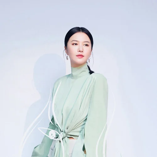 晚婚(2019浙江衛(wèi)視夢想的聲音第三季第11期現(xiàn)場)-譚維維